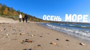 Обское море Осень Качели