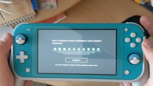 Проверка работы кнопок ввода и стиков Nintendo Switch Lite