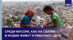 Среди мусора. Как на свалке в Индии живут и работают дети