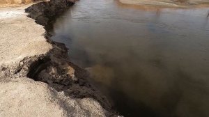 Owens River @ 168 Crossing Big Pine Fishing Conditions #easternsierra