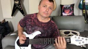 7 струн на гитаре, или нахрена козе баян.