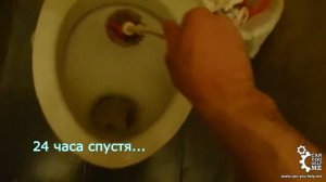 Как и чем отмыть унитаз быстро и эффективно?