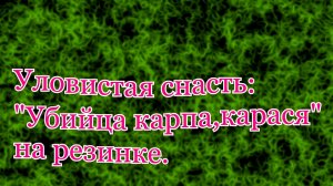 Уловистая снасть: " Убийца карася, карпа" на резинке.