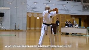Каратэ в ММА