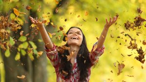 Старый красный кирпич.  Умный пёс у ворот...