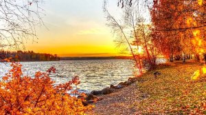 ГДЕ, КАК И НА ЧТО ЛОВИТЬ КАРАСЯ ОСЕНЬЮ