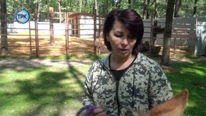 В зоопарке «Лукоморье» пополнение – маленький осленок Ося