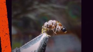 Уловистый бокоплав .