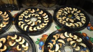 REDMOND. ОТЛИЧНАЯ СУШИЛКА!!! ОБЗОР И ИСПЫТАНИЯ!!