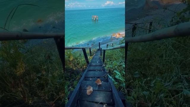 мой любимый Сочи