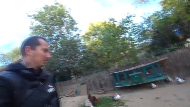 Vlog ЗооПарк Николаева 2020 смотреть онлайн