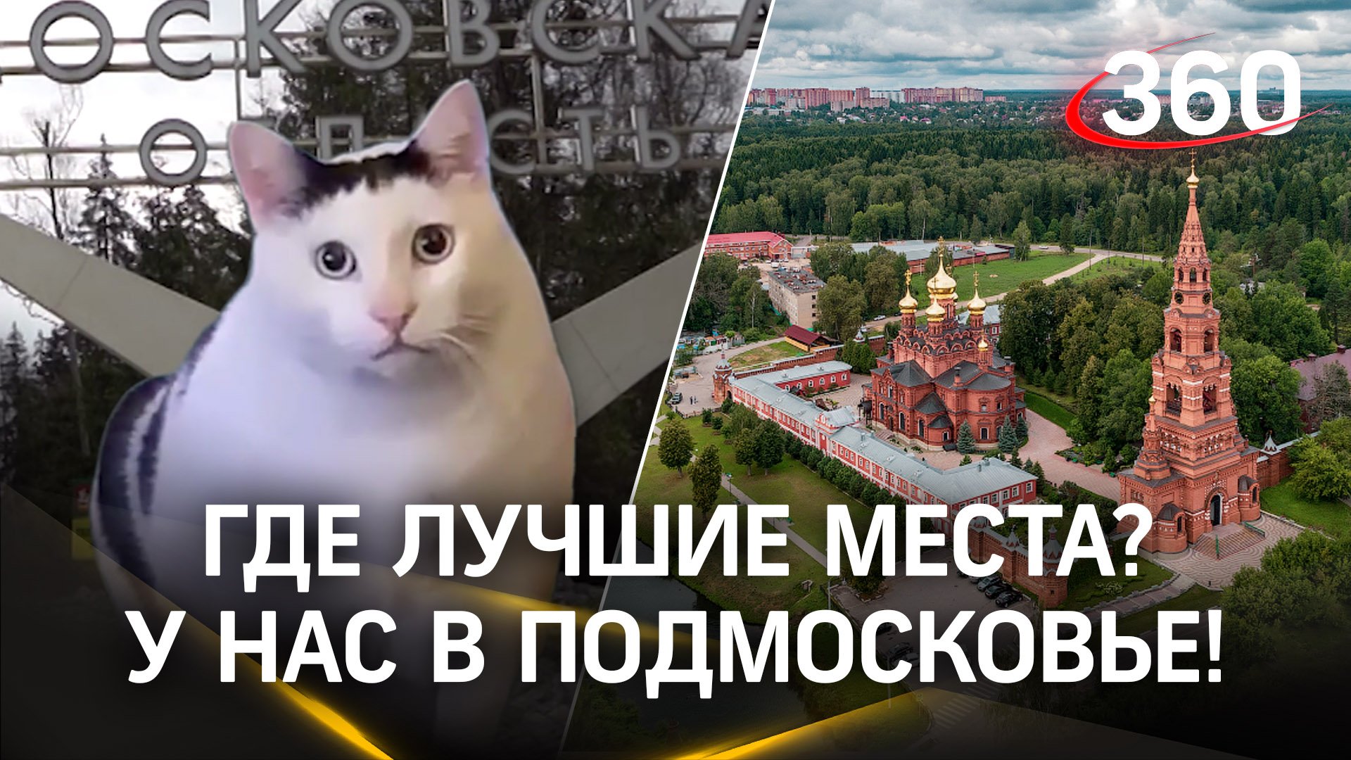 В Подмосковье бывали? Уверены? Кот проверит, какой из вас путешественник. Тренд Шик Шак Шок
