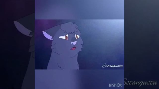 Still Here - Серебрянка и Крутобок. Коты-Воители