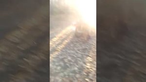 На мотоцикле Минск по грязи