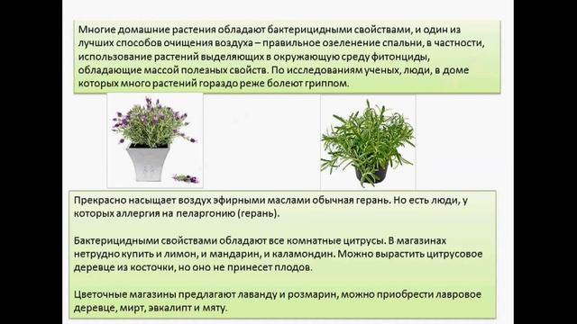 озеленение спальни смотреть онлайн