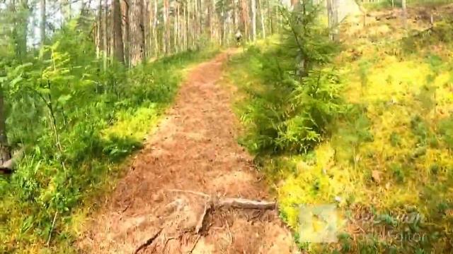 русская пробежка 2023 смотреть онлайн