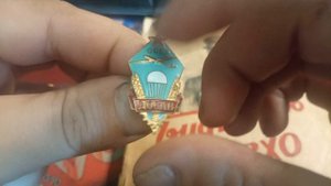 Фалеристика.Значки СССР, мои покупки. Целина, ПВХО, ДОСААФ.