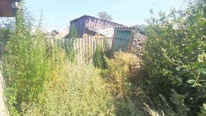 Дом, с. Хуторка, Новосергиевский район, Оренбургская обл.
