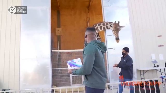 UFC 260 | Фрэнсис Нганну | Лагерь перед боем со Стипе Миочичем (ЭПИЗОД 3) смотреть онлайн