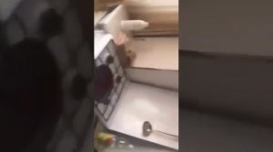 Кипяченое масло и вода!!