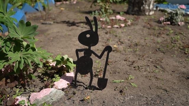Томичи участвуют в конкурсе «Томский дворик»