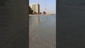 Шарджа,отель Occidental Sharjah grand hotel