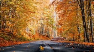 Трогательная душу песня... Ты не грусти... Красивые Христианские песни