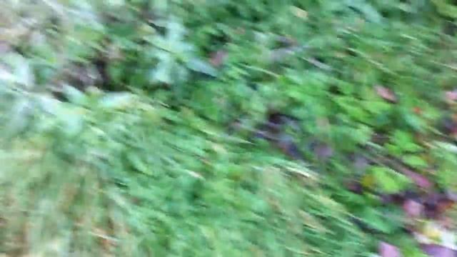 Степень очистки ALTA BIO септик смотреть онлайн