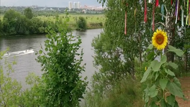 ОДИНОКИЙ ПОДСОЛНУХ смотреть онлайн