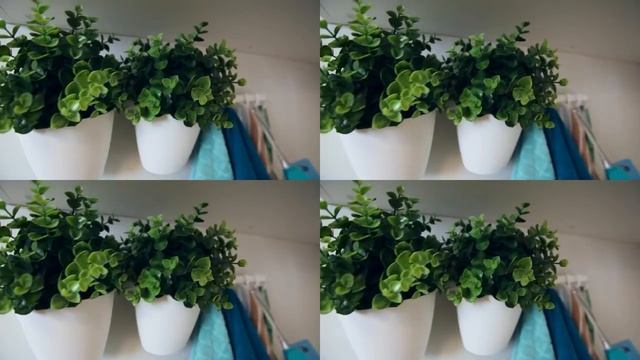 Живой ShowRoom от ССК / ЖК ФЛОТИЛИЯ / Краснодар