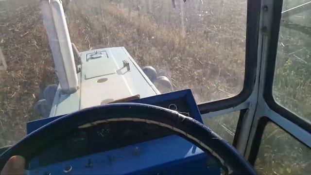 Дискуем палку подсолничника.Розход солярки 6л/га.Диски бдт 2.5 .Устраняем проблемы с забиванием. смотреть онлайн