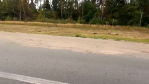 Мал клоп, да вонюч | Рейд против обочечников на М-7. Часть первая.