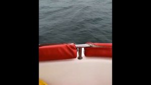 Морская рыбалка с катера в Сочи Лоо тел -  8 9890898081