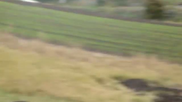 озеро на даче смотреть онлайн