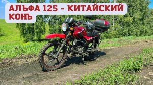 Как ведет себя Альфа 125 в полях