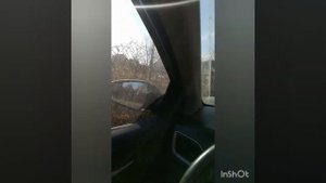 Дача на берегу Волги (снт Берег-2, с.Луначарский)