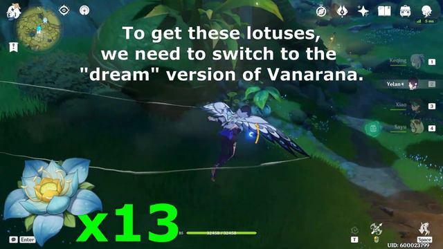 Kalpalata Lotus Locations | Efficient Farming Route For Nahida [Genshin Impact] смотреть онлайн