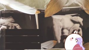 Как сейчас живет девушка, ставшая мамой семерых детей к 17 годам