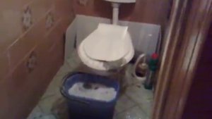 Потоп дерьмо flood shit