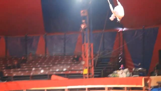 Алина Юрова  "Гостья из будущего " Цветы России  2015 ( 22 апреля )