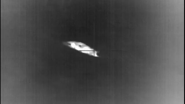 Thermal hog hunting with Double-D-Outfitters смотреть онлайн