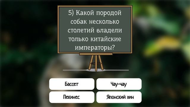 Тесты на эрудицию умнеем с персиком