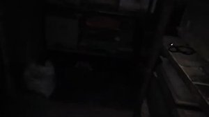 зимовка в омшанике