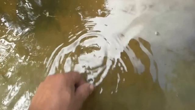 КОПЬ НА КВАРЦ
