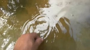 КОПЬ НА КВАРЦ