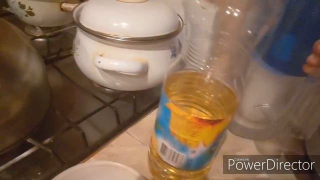 Всё о породе Мейнкун