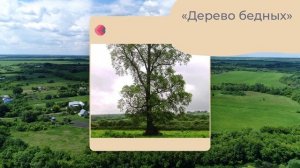 3-4 Учитель жизни_ Л.Н. Толстой