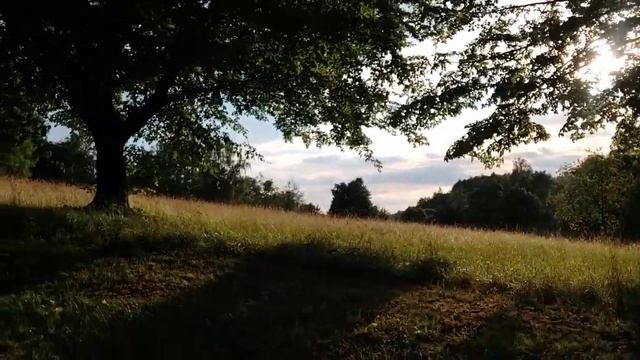 Релакс на скамейке-качалке в экопарке / парки в Европе смотреть онлайн