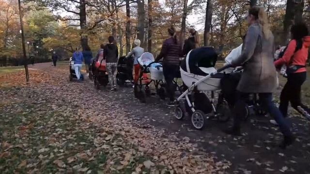 ПРОГУЛКА С КОЛЯСКОЙ