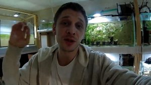 ПОЧЕМУ УМИРАЮТ РЫБКИ В АКВАРИУМЕ???